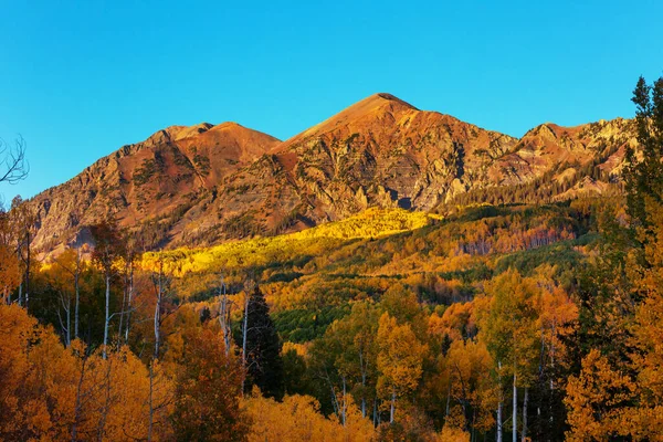 Kleurrijke Gele Herfst Colorado Verenigde Staten Herfstseizoen — Stockfoto