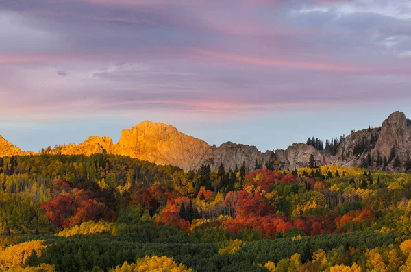 Колоритная Желтая Осень Колорадо Сша Осенний Сезон — стоковое фото
