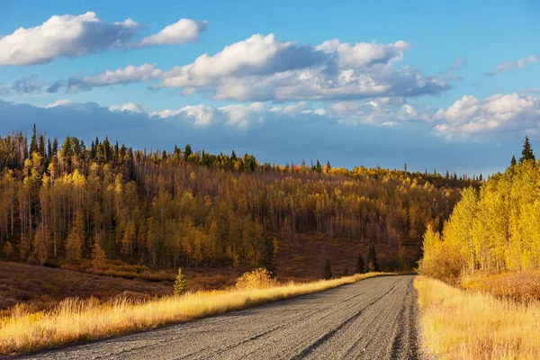 Kolorowa Scena Jesienna Wiejskiej Drodze Lesie — Zdjęcie stockowe