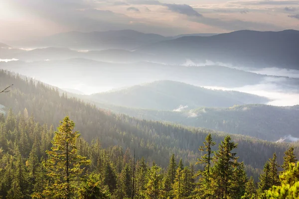 Beautiful Natural Landscapes Carpathian Mountains — Stock Photo, Image