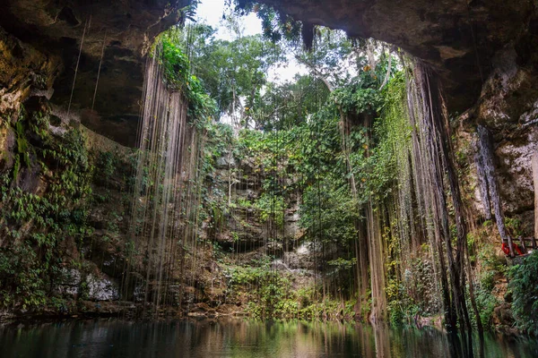 Paesaggi Tropicali Naturali Insoliti Kil Cenote Messico — Foto Stock