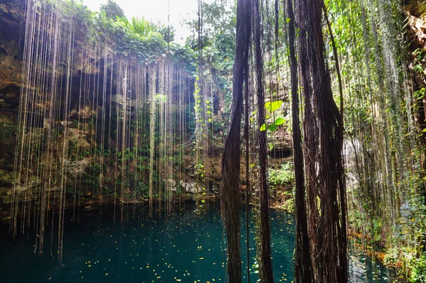 Ongebruikelijke Natuurlijke Tropische Landschappen Kil Cenote Mexico — Stockfoto