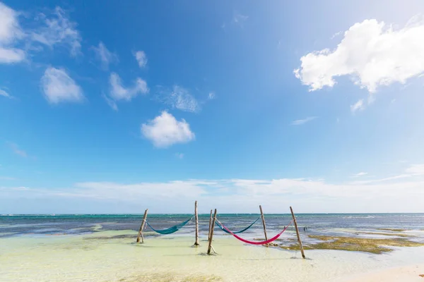 Tropical Paradise Beach Palm Trees Traditional Braided Hammock — Stock Photo, Image