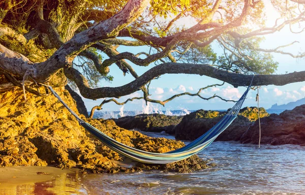 Hammock Stranden Stilla Havskusten — Stockfoto