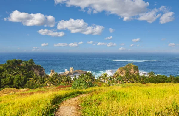 Prachtig Tropisch Strand Indonesië Java — Stockfoto