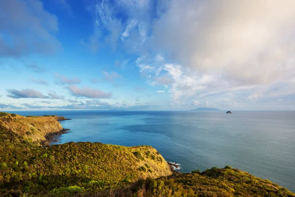 美丽的风景展现在新西兰的海滩上 激发自然和旅行背景 — 图库照片
