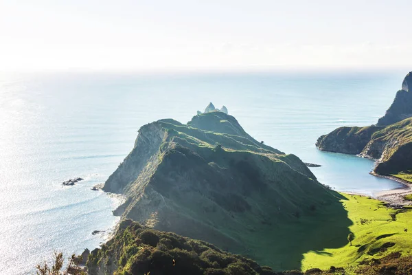 Prachtige Landschappen Het Ocean Beach Nieuw Zeeland Inspirerende Natuurlijke Reisachtergrond — Stockfoto