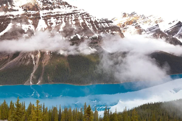 加拿大班夫国家公园的佩托湖 — 图库照片