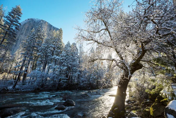 Χειμερινή Περίοδος Στο Εθνικό Πάρκο Γιοσέμιτι Καλιφόρνια Ηπα — Φωτογραφία Αρχείου