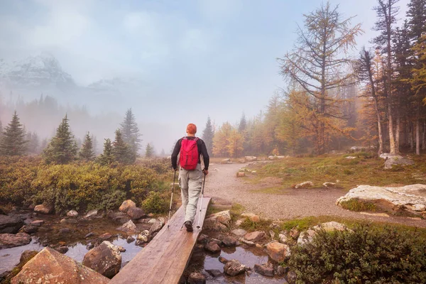 Hermosa Temporada Otoño Las Montañas Canadienses Fondo Caída —  Fotos de Stock