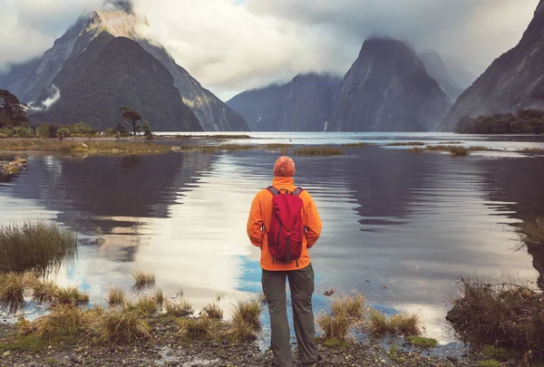 Geweldige Natuurlijke Landschappen Milford Sound Fiordland National Park Nieuw Zeeland — Stockfoto