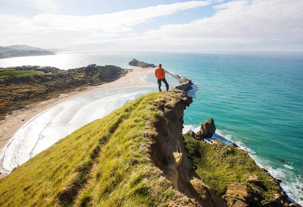 Прекрасні Краєвиди Оушен Біч Нова Зеландія Натхнення Природним Подорожі — стокове фото