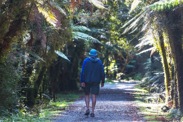 Caminhadas Tramping Nova Zelândia Conceito Viagem Aventura — Fotografia de Stock