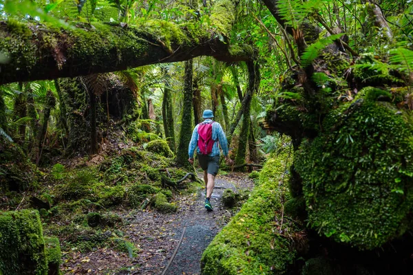 Caminhadas Tramping Nova Zelândia Conceito Viagem Aventura — Fotografia de Stock