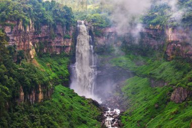 Yeşil ormanda güzel bir şelale, Kolombiya, Güney Amerika