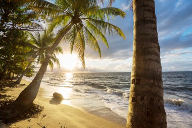 Tropikal sahildeki güzel yaz manzaraları. Tatil arkaplanı.