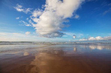 Brezilya 'nın tropik plajlarındaki güzel yaz manzaraları. Tatil arkaplanı.