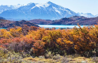 Patagonya dağlarında sonbahar sezonu, Güney Amerika, Arjantin