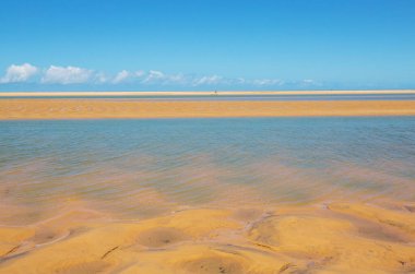 Brezilya 'nın tropik plajlarındaki güzel yaz manzaraları. Tatil arkaplanı.