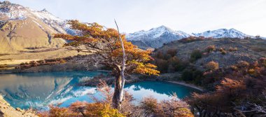 Patagonya dağlarında sonbahar sezonu, Güney Amerika, Arjantin
