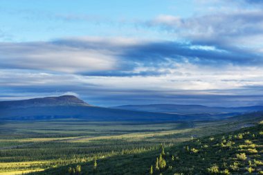 Kutup dairesinin üstündeki Tundra manzaraları