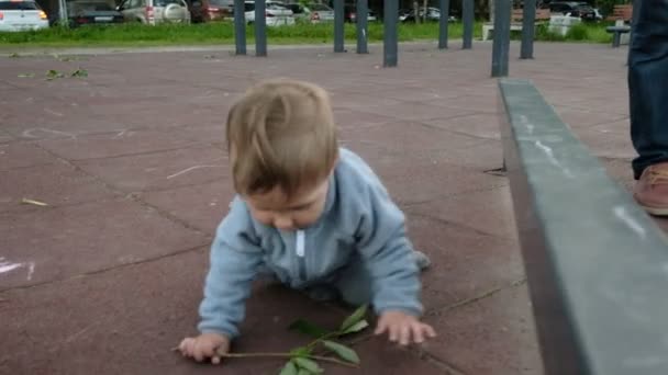 Adorable jeu drôle de bébé à l'aire de jeux sous les soins de ses parents hipster — Video