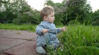 Komik bebek hipster ailesi bakım altında Bahçesi oyna