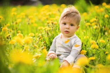 Konsept: aile değerleri. Güneşli dandelions alanında açık oynayan masum komik kahverengi gözlü Bebek portresi.