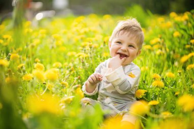 Konsept: aile değerleri. Masum kahverengi gözlü bebek oyun açık güneşli dandelions alanını ve komik surat portresi.