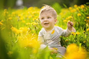 Konsept: aile değerleri. Güneşli dandelions alanında açık oynayan masum komik kahverengi gözlü Bebek portresi.