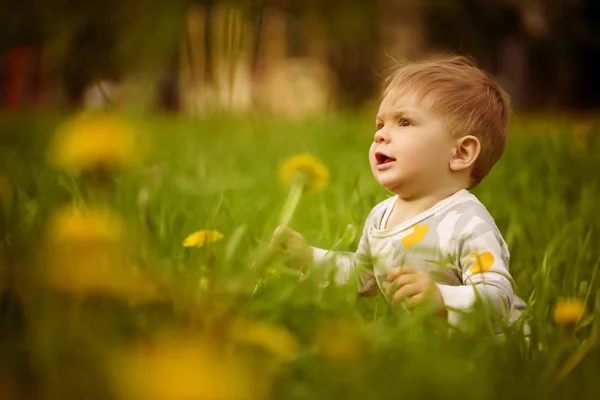 Concetto Valori Familiari Ritratto Adorabile Innocente Divertente Bambino Dagli Occhi — Foto Stock