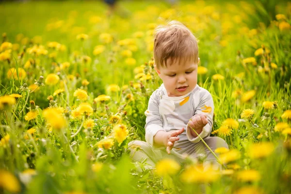 Concetto Valori Familiari Ritratto Adorabile Innocente Divertente Bambino Dagli Occhi — Foto Stock