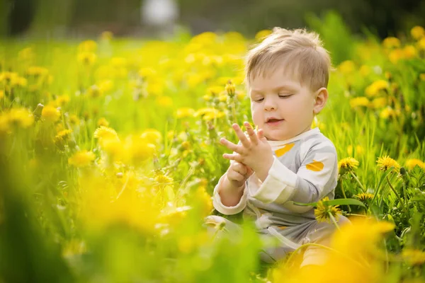 Konsept: aile değerleri. Güneşli dandelions alanında açık oynayan masum komik kahverengi gözlü Bebek portresi.