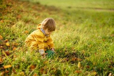 Happybaby çocuk gülüyor ve parkta yeşil topu ile oynuyor
