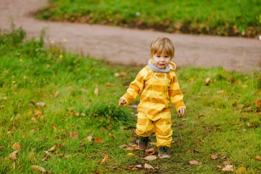 Mutlu küçük çocuk gülüyor ve doğa yürüyüşü parkta sonbahar oynarken