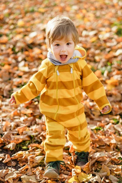 Šťastný chlapeček se směje a hraje na podzim na přírodě v parku — Stock fotografie