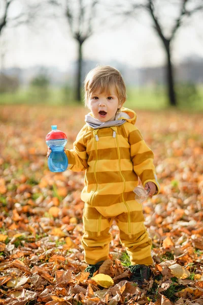 Šťastný chlapeček s lahví na podzim, který si hraje v parku při procházce. — Stock fotografie
