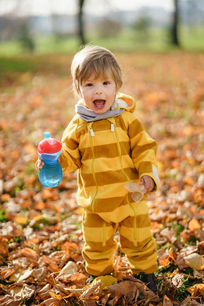 Щасливий маленький хлопчик з пляшкою води грає восени на прогулянці в парку — стокове фото