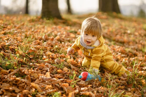 Feliz niño riendo y jugando en el otoño en el paseo por la naturaleza en el parque — Foto de Stock