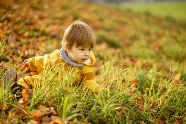 Ragazzino felice che ride e gioca in autunno durante la passeggiata nella natura al parco — Foto Stock