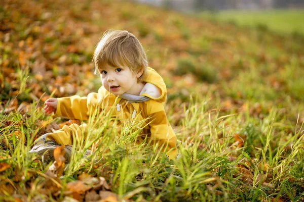 Ragazzino felice che ride e gioca in autunno durante la passeggiata nella natura al parco — Foto Stock