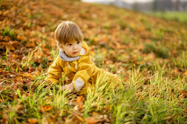 Feliz niño riendo y jugando en el otoño en el paseo por la naturaleza en el parque — Foto de Stock