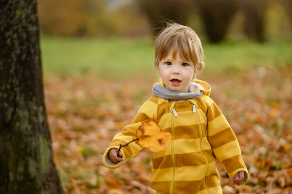 Ragazzino felice che ride e gioca in autunno durante la passeggiata nella natura al parco — Foto Stock