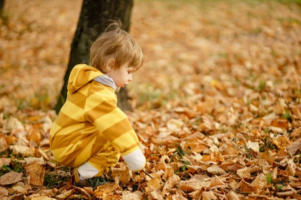 Ragazzino felice che ride e gioca in autunno durante la passeggiata nella natura al parco — Foto Stock