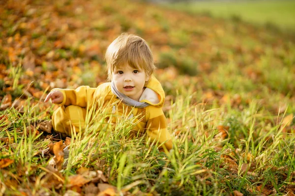 Feliz niño riendo y jugando en el otoño en el paseo por la naturaleza en el parque — Foto de Stock