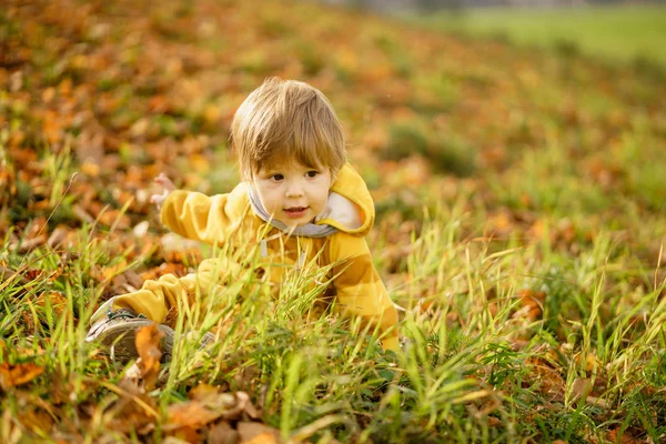 Щасливий маленький хлопчик сміється і грає восени на природі прогулянка в парку — стокове фото