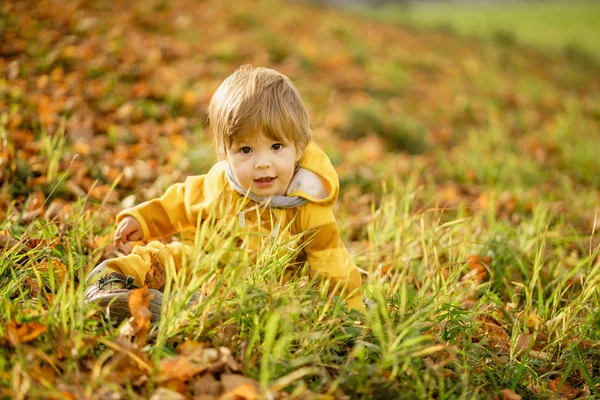 Ragazzino felice che ride e gioca in autunno durante la passeggiata nella natura al parco — Foto Stock