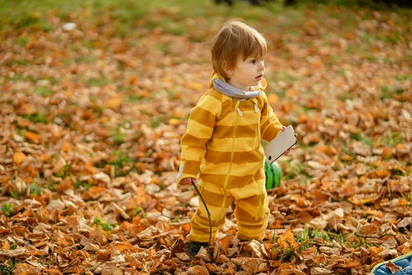 Šťastný chlapec se směje a hraje si s matčino smartphone na podzim v parku. — Stock fotografie