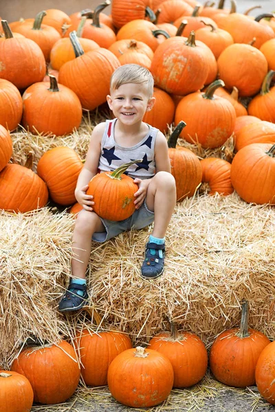 Little Boy Having Fun Pumpkin Patch Fall — Stock Photo, Image