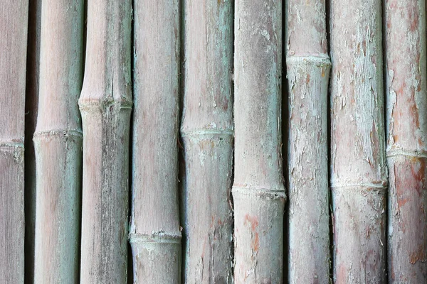 Dried painted old bamboo background. Bamboo wall.